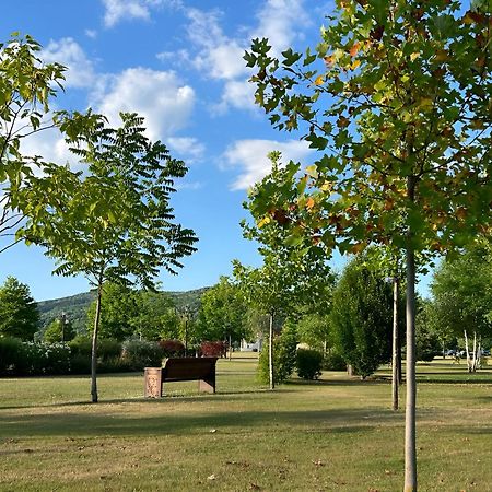 Vila Cu Mesteceni Câmpina Exteriér fotografie