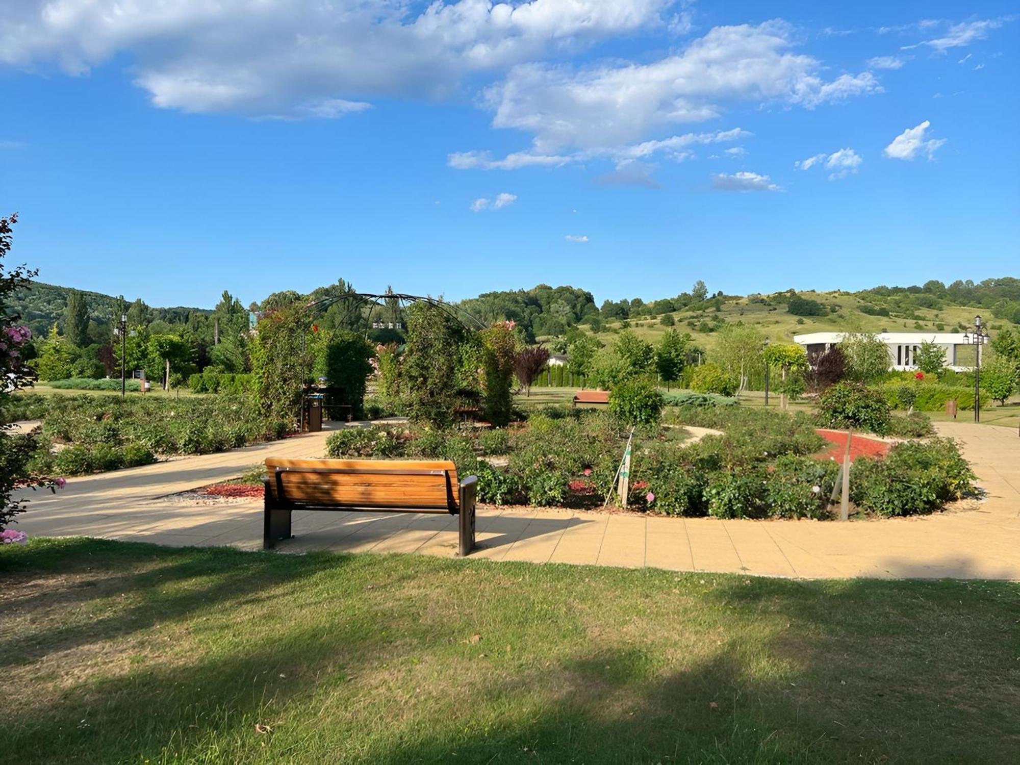 Vila Cu Mesteceni Câmpina Exteriér fotografie