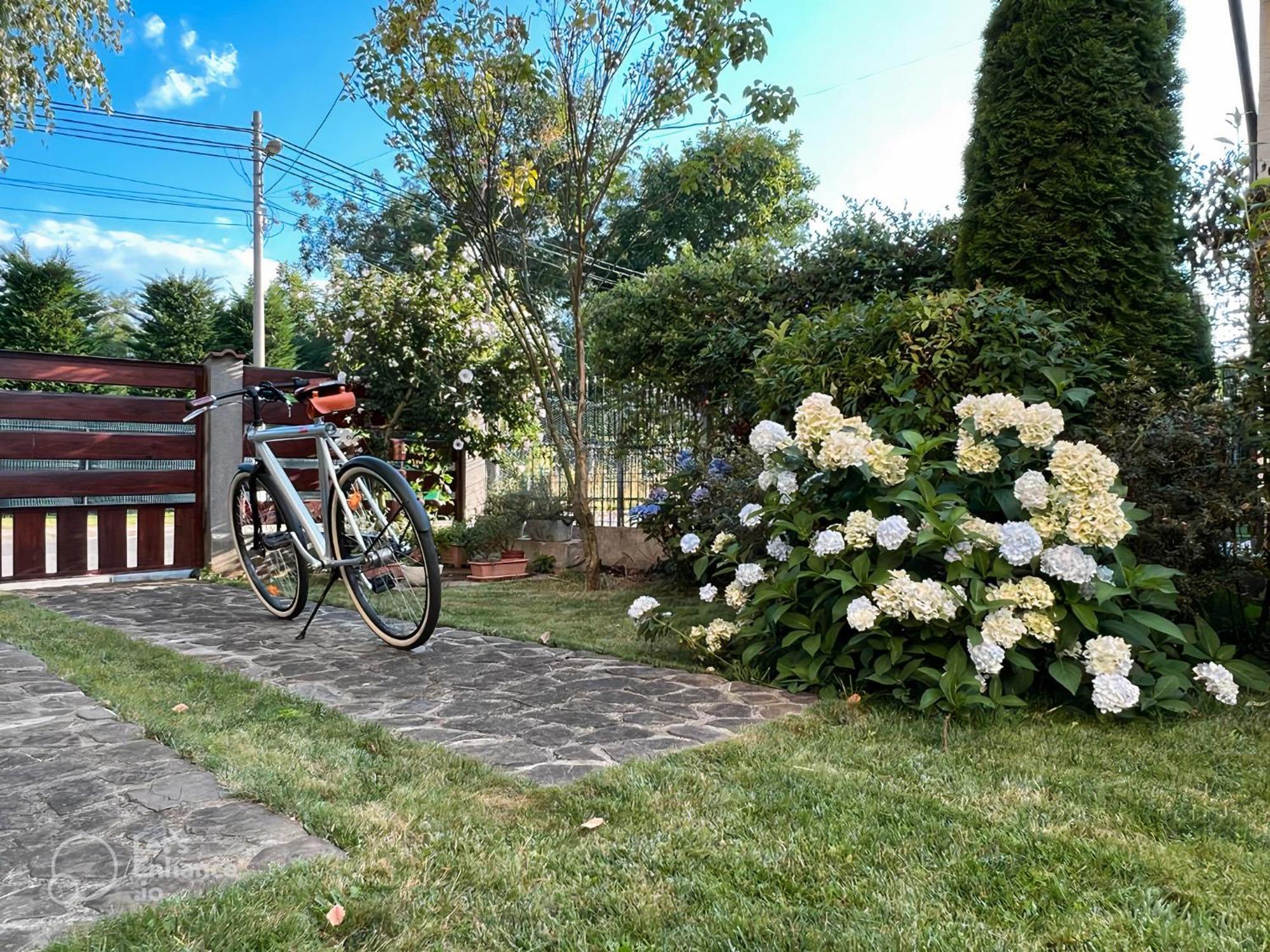 Vila Cu Mesteceni Câmpina Exteriér fotografie